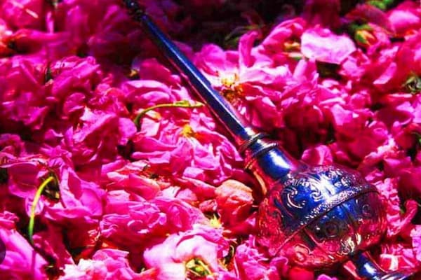 قیمت خرید گلاب 1 لیتری + فروش ویژه